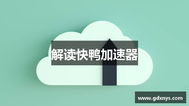 解读快鸭加速器